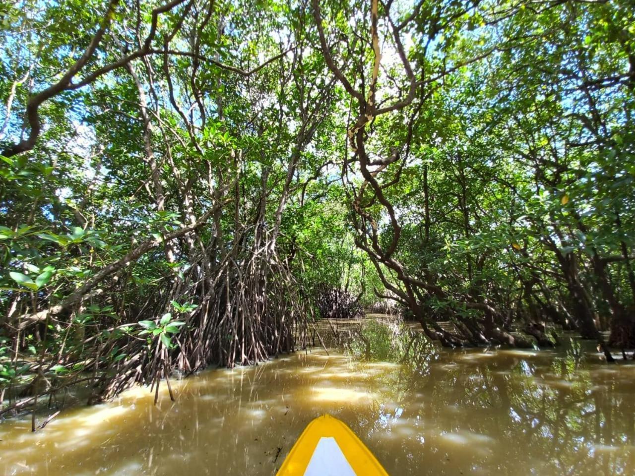 Senu Lagoon Villa تانجالي المظهر الخارجي الصورة