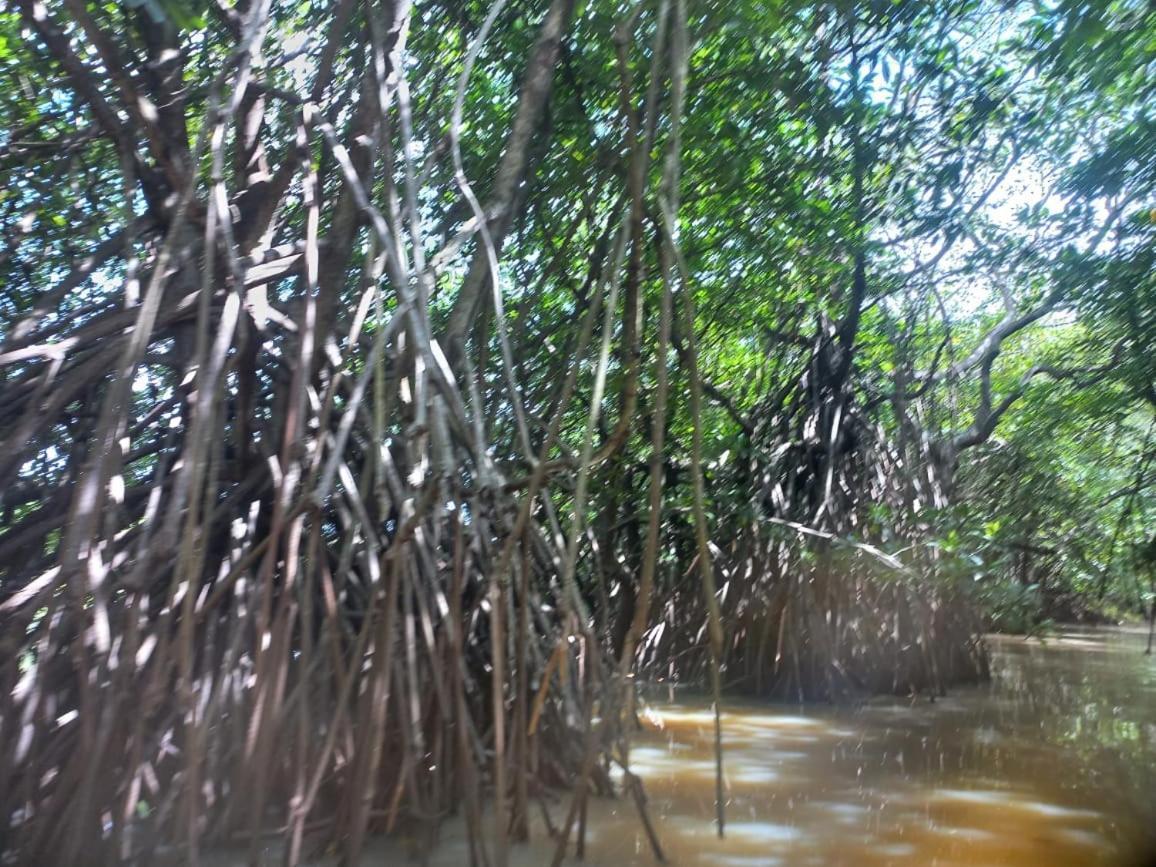 Senu Lagoon Villa تانجالي المظهر الخارجي الصورة